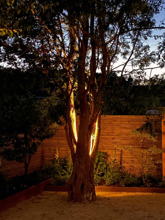 A garden tree uplight installed by Ynot Renovate