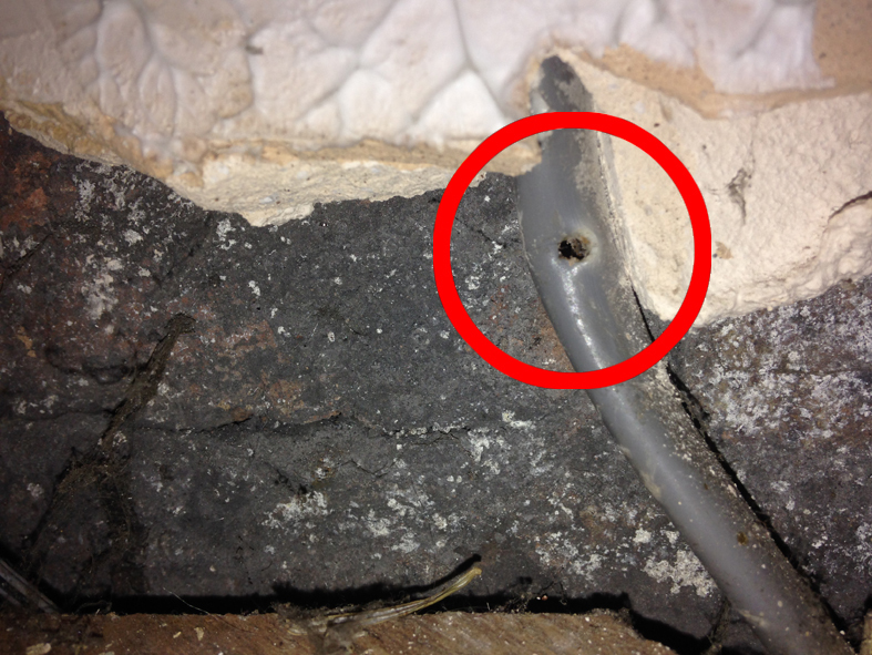 Found: a skirting-board nail straight through the ring main