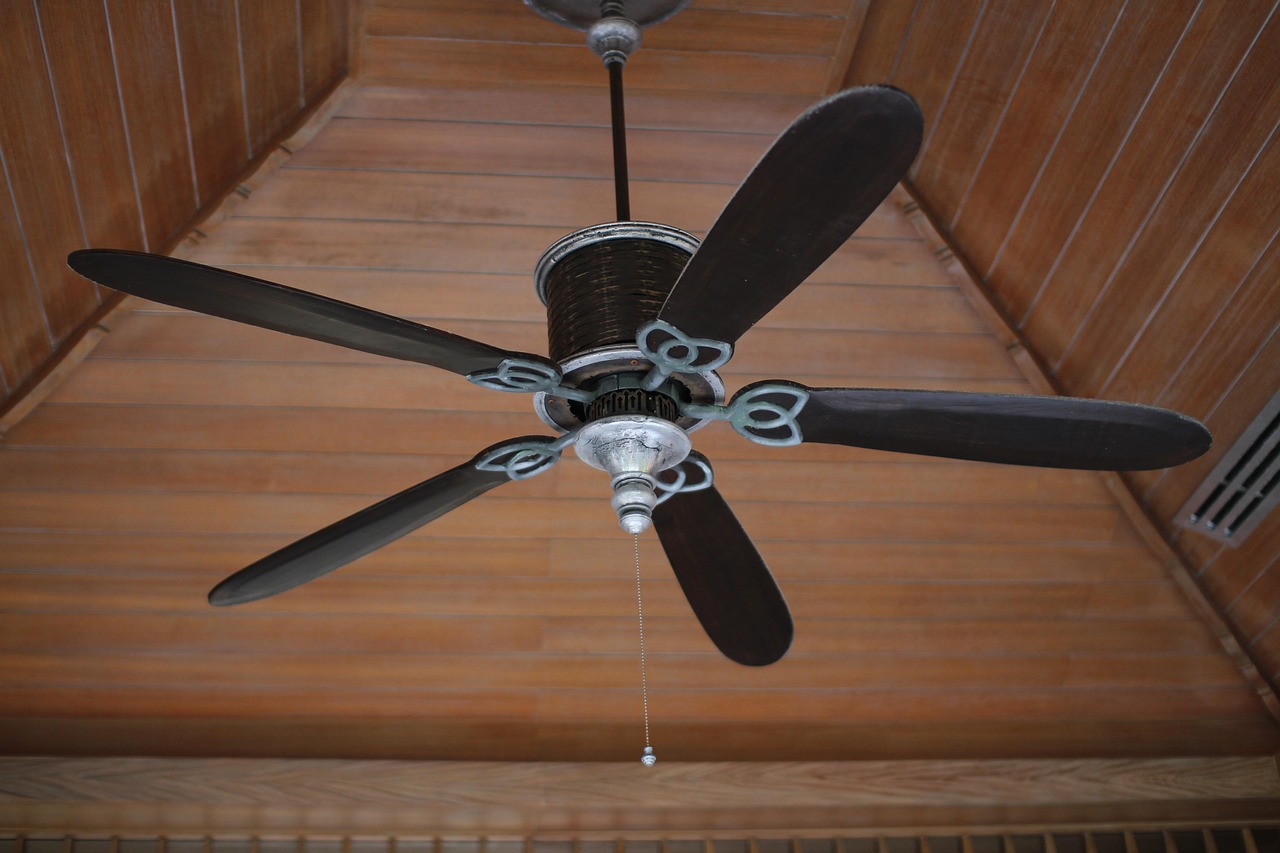 A ceiling fan on a timber ceiling